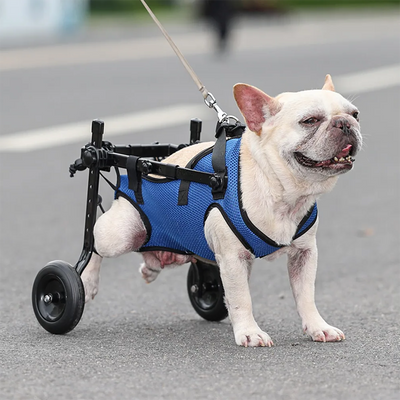 Dog Wheelchair for Back Legs with Adjustable Support for Limited Mobility 0