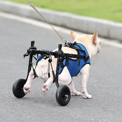 Dog Wheelchair for Back Legs with Adjustable Support for Limited Mobility 2