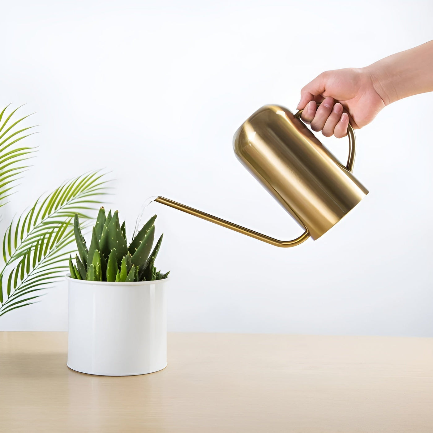 Metal Watering Can – 1.5L Capacity with Long Spout 3